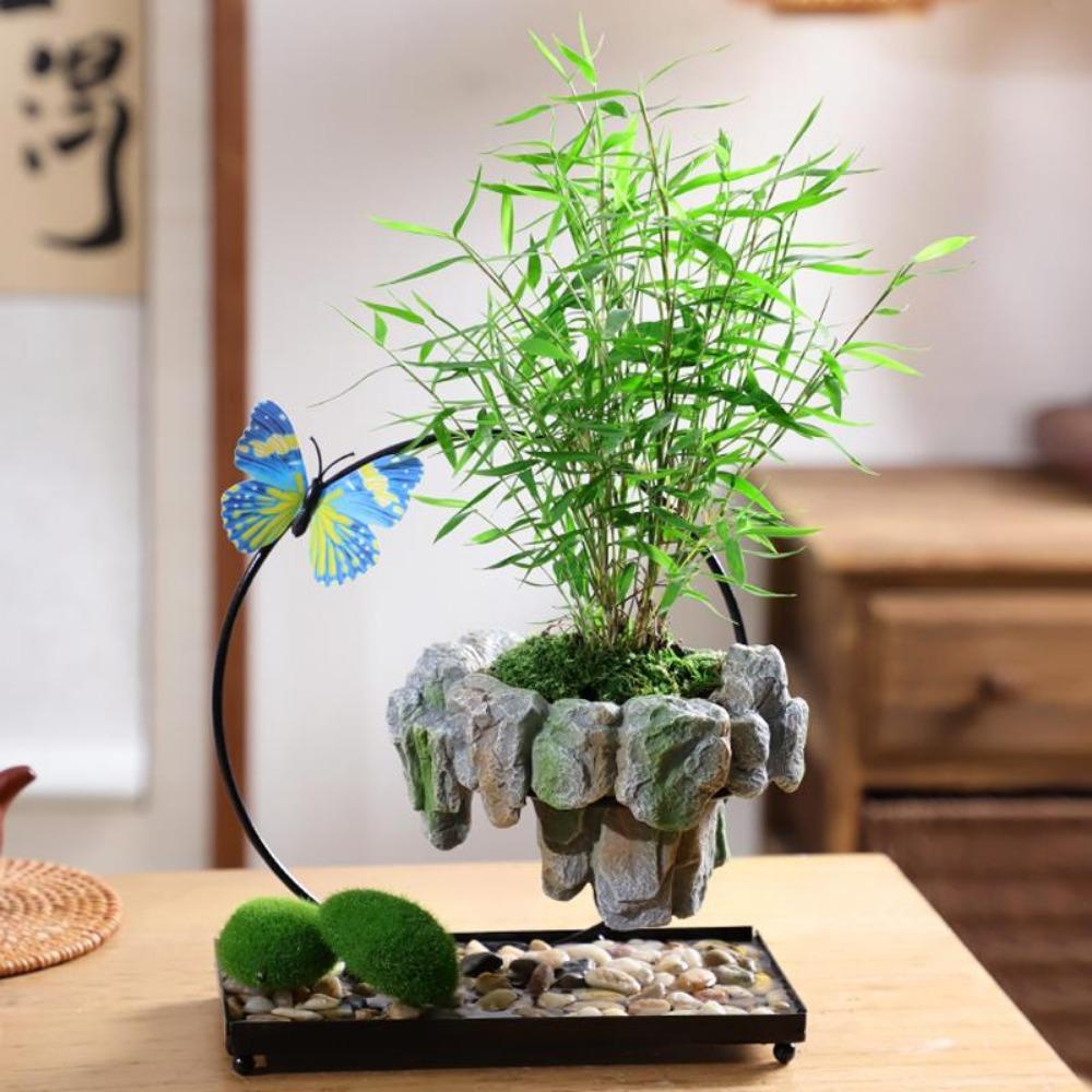 Facai Tree Nantianzhu Mizhu Bryophyte Green Plants Potted In the Living Room Office Small Leaf Rosewood Potted Landscape