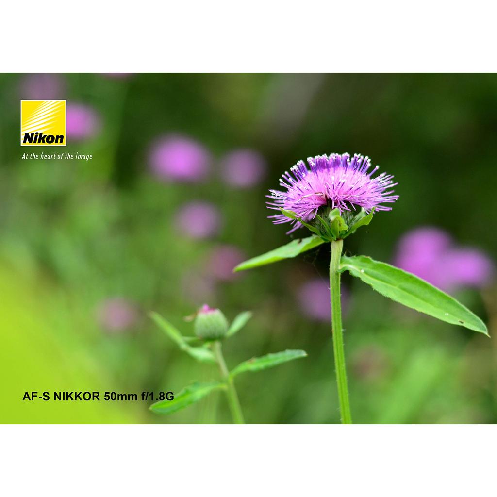 Lente Prime Nikon AF-S NIKKOR 50mm f/1.8G Compatível com Full Frame | Fotografia Nítida