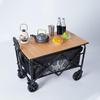 Titanium Electric Camping Cart