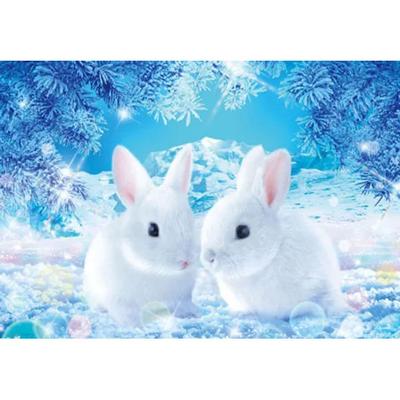 Puzzles et casse-têtes – Puzzles