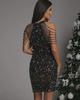 2025 Spring Sexy Halterneck Off-Shoulder Tassel Sequin Dress - European & American Fashion