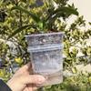 Growing Pot, Easy To Clean, Ideal for Repotting And .