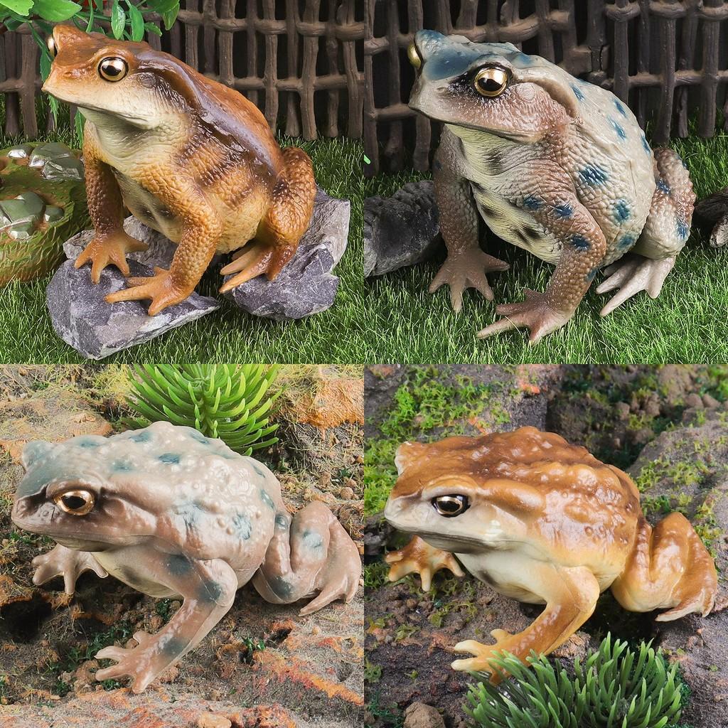 Animal Childrens Frog Plastic Model Toy For Educational Play Gift Collectors