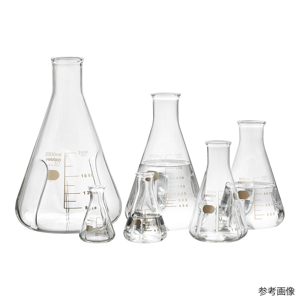 Hario Baffled Erlenmeyer Flask, 300mL, BSF-300-SCI