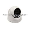 4K 8MP POE Outdoor Metal Dome Camera with Audio & Surveillance