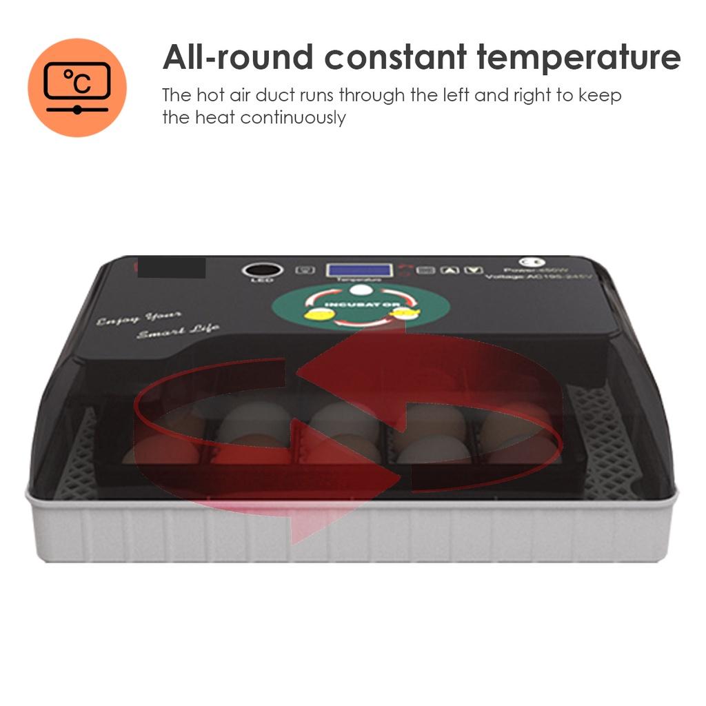 AC 110-220V Automatic Incubator 20 Chick Egg Large Capacity Incuator Digital Temperature Control Brooder Quality Hatchery Machine Black+White