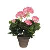 MICA Decorations Flowers, Large Geranium Multicolor - 950219