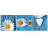 Feeby Set of Three Pictures Canvas Print, Daisies and Hearts