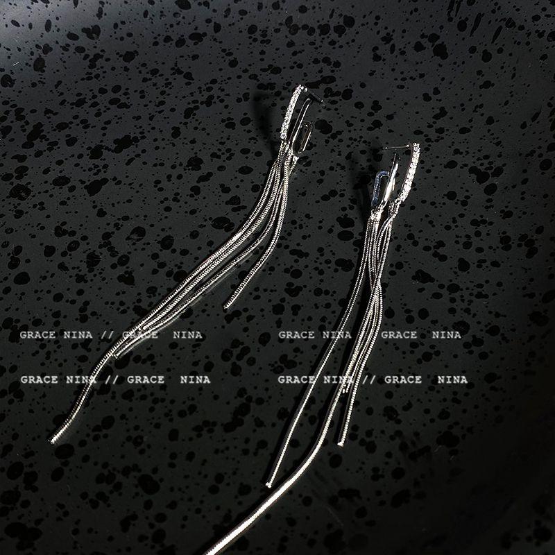 

Женские нишевые серьги с длинными кисточками Silver Tassel stud earrings