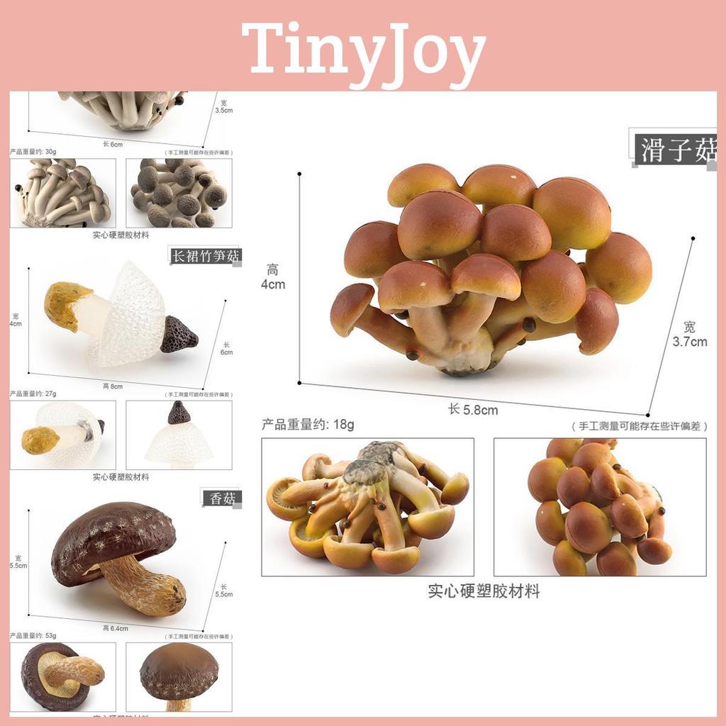 Realistická sada hub s jedlými houbami Shiitake, Enoki, Matsutake a jedovatými houbami. Dekorativní modely, ideální pro domácí vystavení.