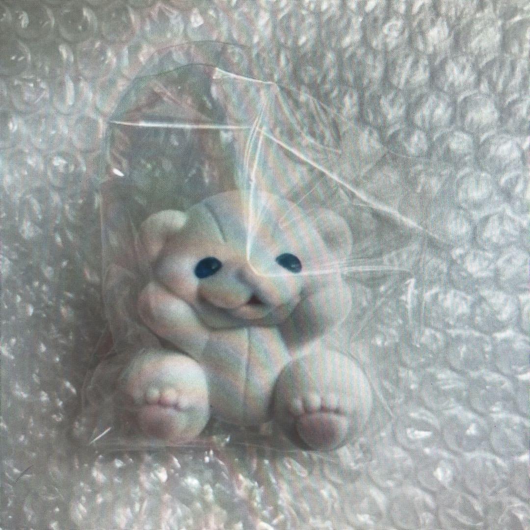 

[USED] Movable white bear figure