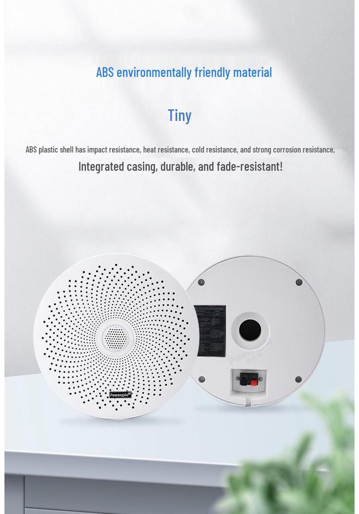 Wireless Indoor Ceiling Speaker with Wall-Mountable Hanging System