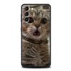 Kawaii Liebe Katze Handyhülle Für Samsung Galaxy S25 Edge S24 S23 S22 S21 Ultra S20 FE 5G S10 S10E S9 Plus Weiche TPU Hülle