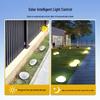 Solar Pebble Lights: Waterproof Outdoor Luminous Stones for Garden and Lawn Landscaping