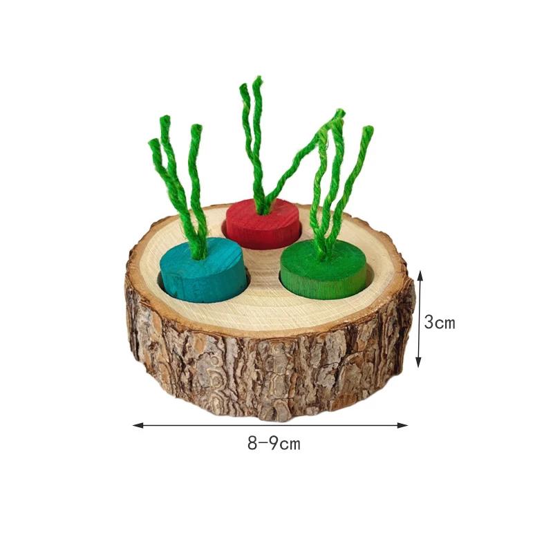 Wooden Parrot Chew Toys for Small Birds Round Shaped Foraging Toy Natural Wood Chewing Toy Hamster Rabbit Bird Cage Accessories