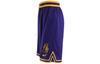 Nike Dri Fit Basketball Shorts Men's All over Purple DH9176-504