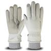 Winter Ski Gloves Touch Screen Women's Fleece Thickened Warm Cycling Electric Car Men's Waterproof Gloves Wholesale