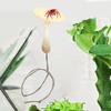 Jumping Spider Enclosure Accessories Mushroom Design Ornament Mushroom Jumping Spider Cage Decor For Reptile Mantis Scorpion