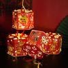 Chinese Style Spring Festival Projection Lantern Cartoon LED Luminous Lantern  Chinese New Year