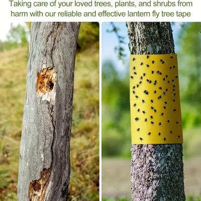 1 Roll of Yellow Double-sided Insect Proof Tape To Prevent Insects, Ants, and Moths From Climbing. Outdoor Garden Insect Trap 5M