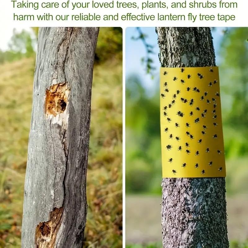 1 Rulou de Bandă Galbenă Dublu-adezivă Rezistentă la Insecte Pentru a Preveni Insectele, Furnicile și Moliile să se Cațere. Capcană de insecte de grădină exterioară 5M