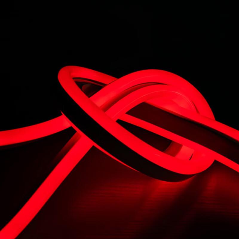 Beigong 220V RGB Color Changing Flexible LED Neon Light Strip