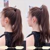 Elegant Metal Hairpin for High Ponytails - High-Grade Female Hair Accessory