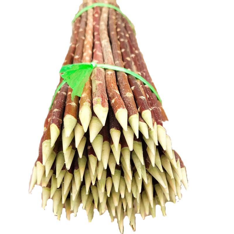COFLYEE Disposable Bamboo Barbecue Skewers