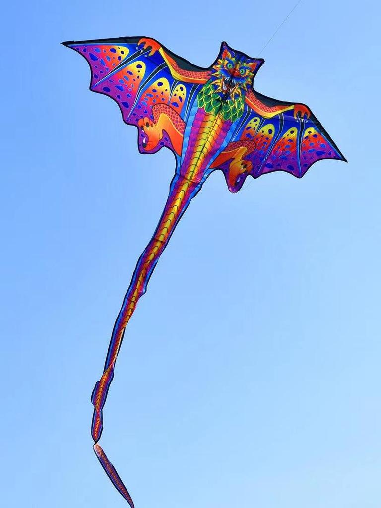 Winged Dragon Kite: High-End Cartoon Kite for Kids