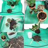 1pcs Planting Mat 50cm-100cm Gardening Potting Pad Foldable Garden Plant Flower Pot Transplanting Waterproof Mats