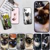 PP22 Cute Siamese Cat Soft Shell Phone Case for Xiaomi Xiaomi Poco M4 M5 M6 M7 X3 X6 X7 F8 Ultra Pro GT NFC