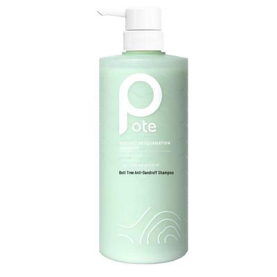 Baitree Tea Tree Anti-Dandruff Shampoo