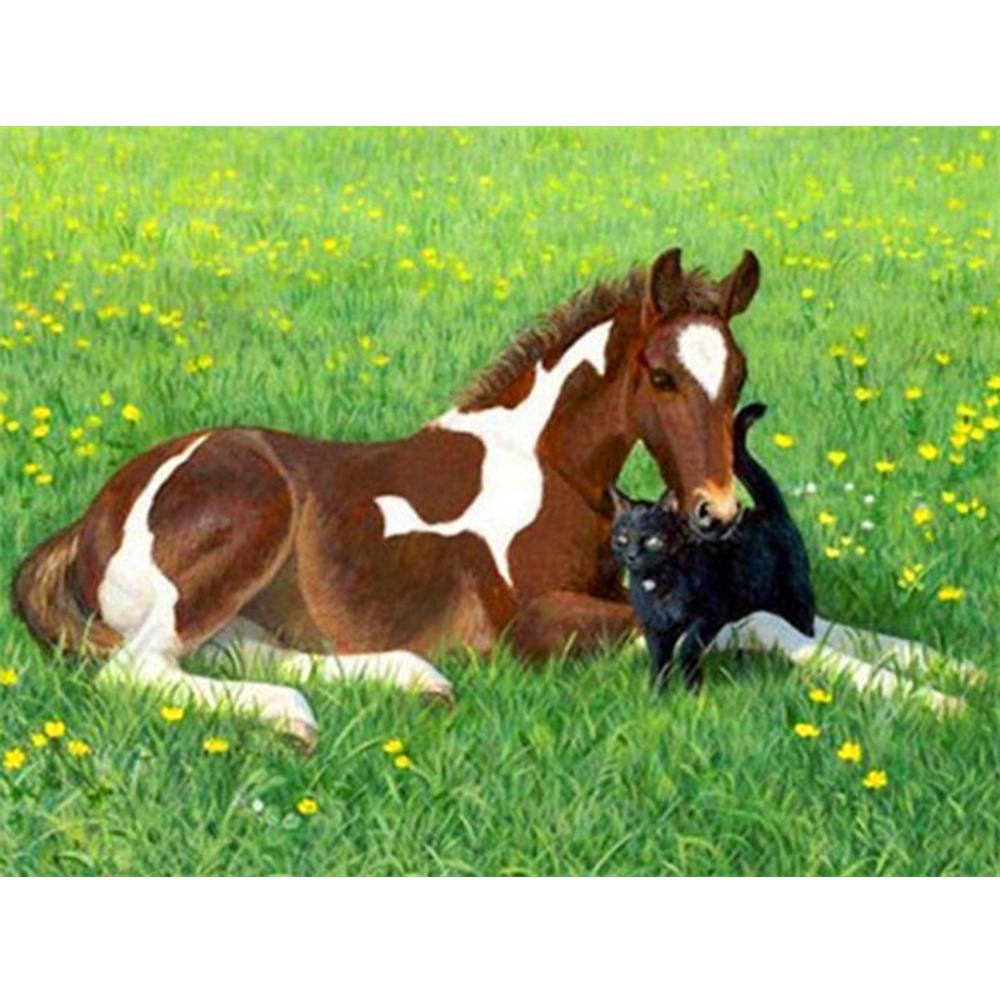 Diamant Kunstmaleri Dyre Katt Bilder Av Rhinestones Diamantbroderi Salg Hest Full Mosaikk Dekor For Hjem