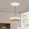 2-in-1 Switch Chandelier Hoist Lift System, 100kg/220lbs Capacity, Modern White Ceiling Light Lift, Chandelier Elevator Hoist