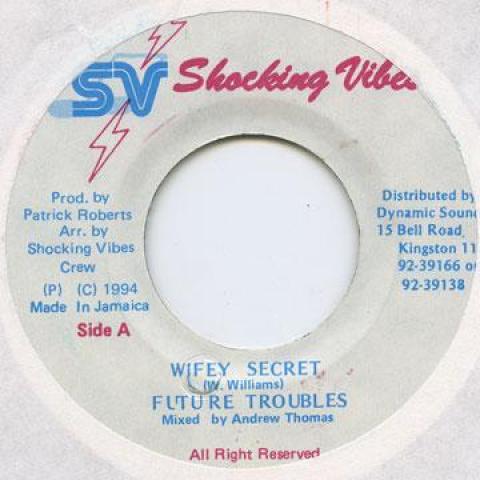 7inch Record FUTURE TROUBLE - Wifey Secret Shocking Vibes 1994 Jamaica Reggae, Ska & Dub