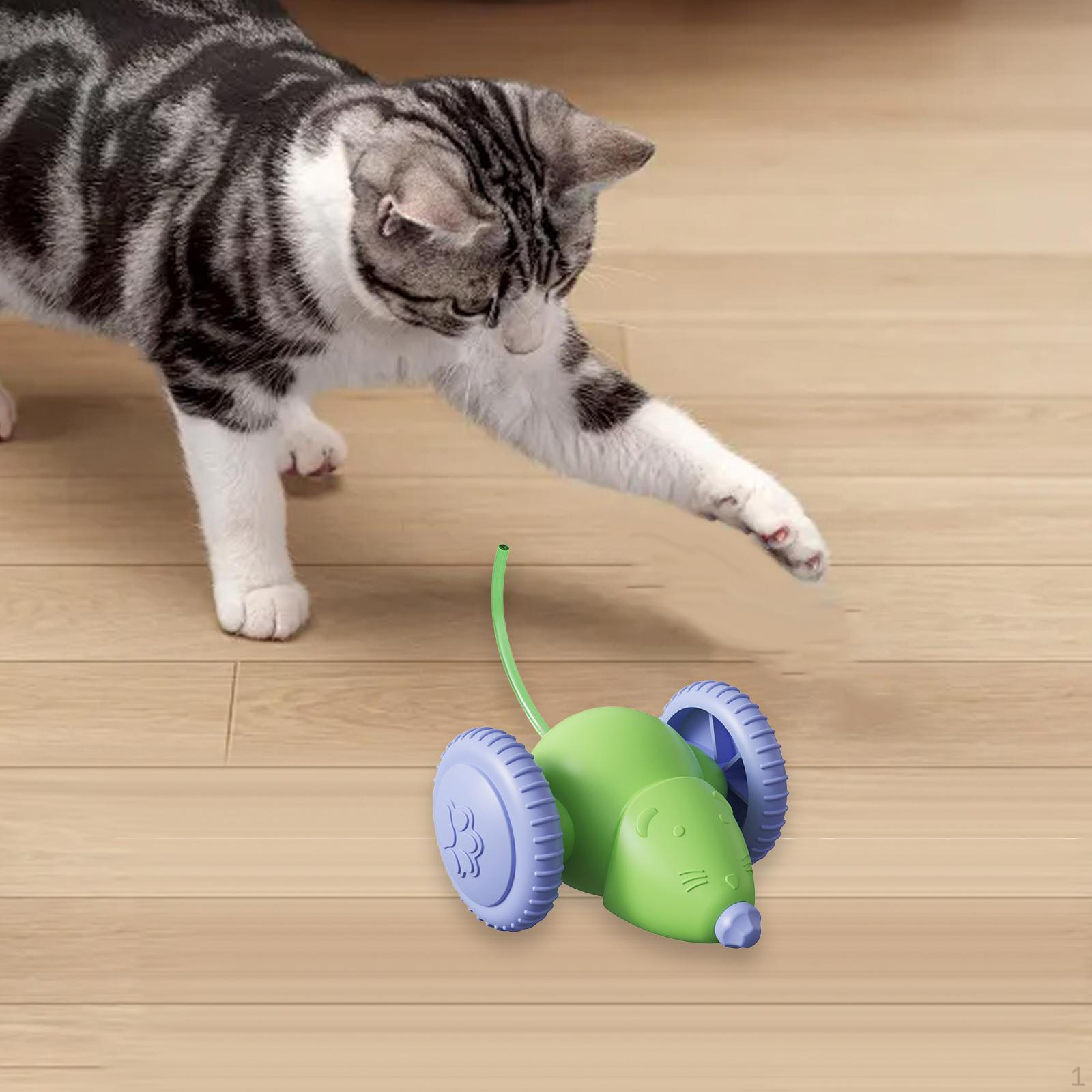 

Automatic Cat Toy Mice Moving Self Righting Mute Gift Lightweight Pet Supplies Compact зелений