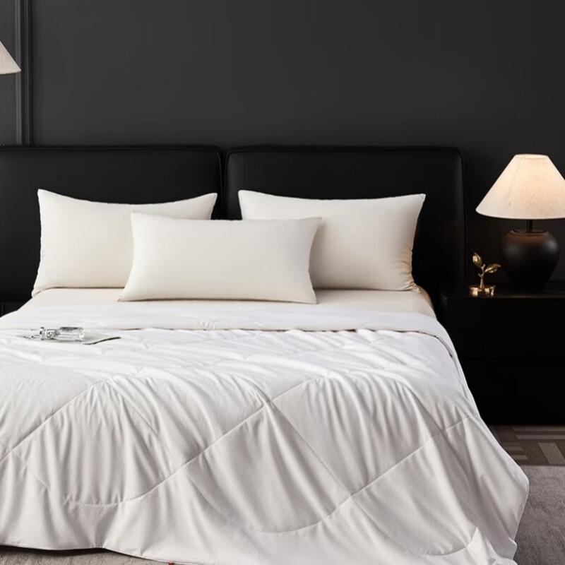 Hengyuanxiang All-Season Tussah Silk Quilt