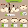 Oeny Full Spectrum 3-Color Dimmable Dining Room Light