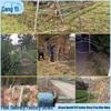 Hot-dip Galvanized Steel Barbed Wire