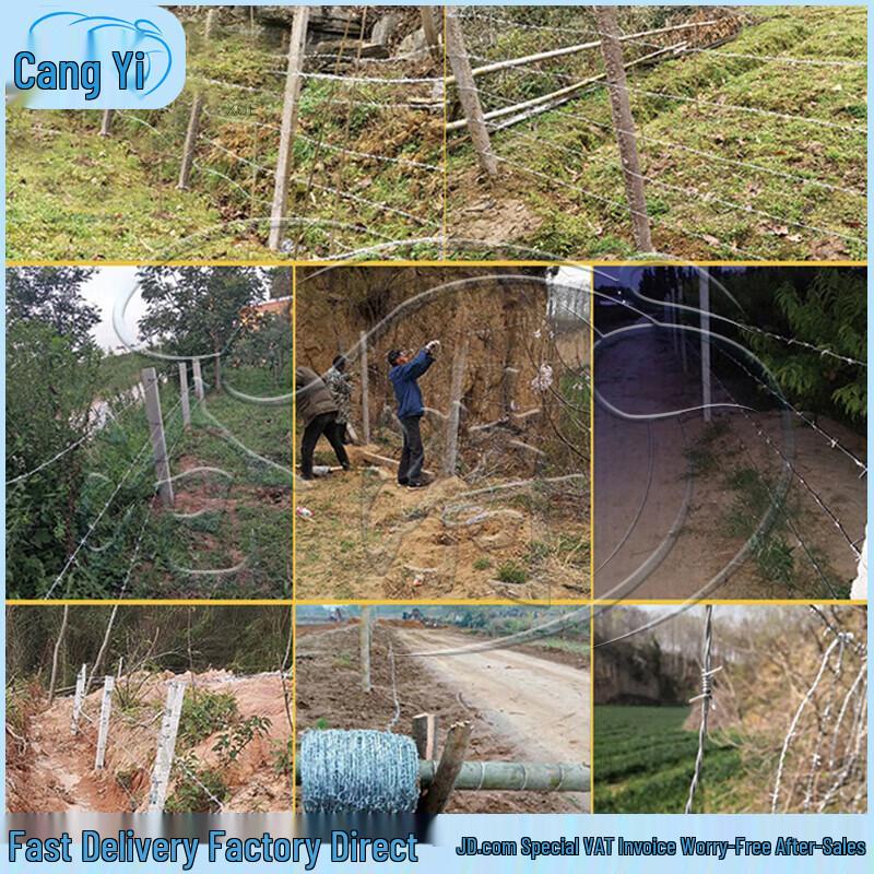 Hot-dip Galvanized Steel Barbed Wire