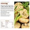 Jia Shi Li Nutritious Breakfast & Snack Biscuits