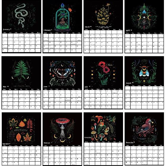 2026 Dark Forest Calendar, Lunar Calendar Colorful Waterink Wall Calendars Wheel Gifts With 12 Original Illustrations for Home and Office Decoration