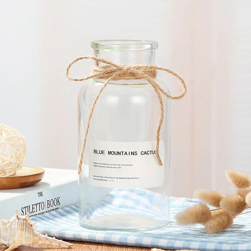 Large Retro Transparent Glass Vase for Pothos and Dried Flowers - Tabletop Home Decoration