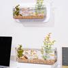 Wall Hanging Aquariums Tanks Office Wall Fish Tanks Wall Mounted Fish Bowl for Modern Home Decoration