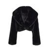 New imitation fur short coat, fashionable versatile fur coat women's long sleeves