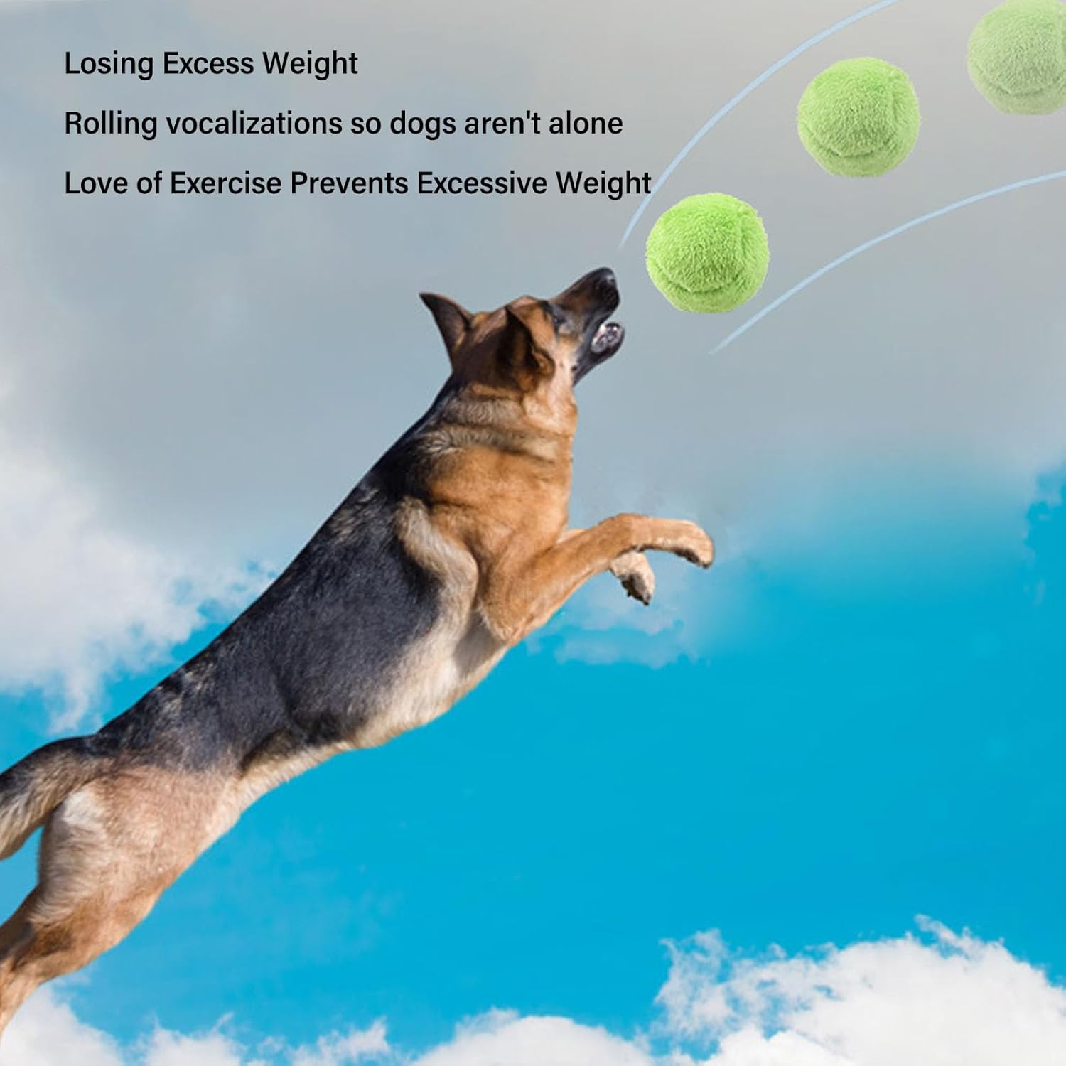 Active Rolling Ball for Dogs, Motion Activated Automatic Rolling Ball with 4 Cover, Chewers Toy for Dogs Active Rolling Ball Interactive Dog Toys Dog