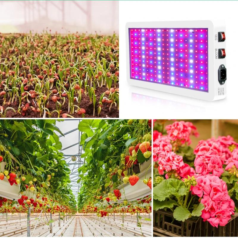 216/312 Leds Full Spectrum LED Growing Lamps IP65 Plant Bulbs Hydroponic Lamp Greenhouse Lights Flower Growth Lighting Box Hot