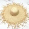 Summer Ins Hollow Big Brim Rough Rafi Straw Hat Women's Beach Hat Travel Seaside Vacation Sun Hat