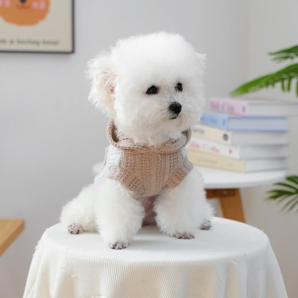 Two Legged Pet Knitted Hoodie Hollow Out Dog Pullover Fashion Dog Base Sweater  for Indoor Outdoor
