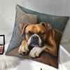 Boxer Dog Design Throw Cushion Covers Chair Living Room Pillowcase Cozy Zipper Sofa Pillow Covers Bedroom Indoor Home Decor